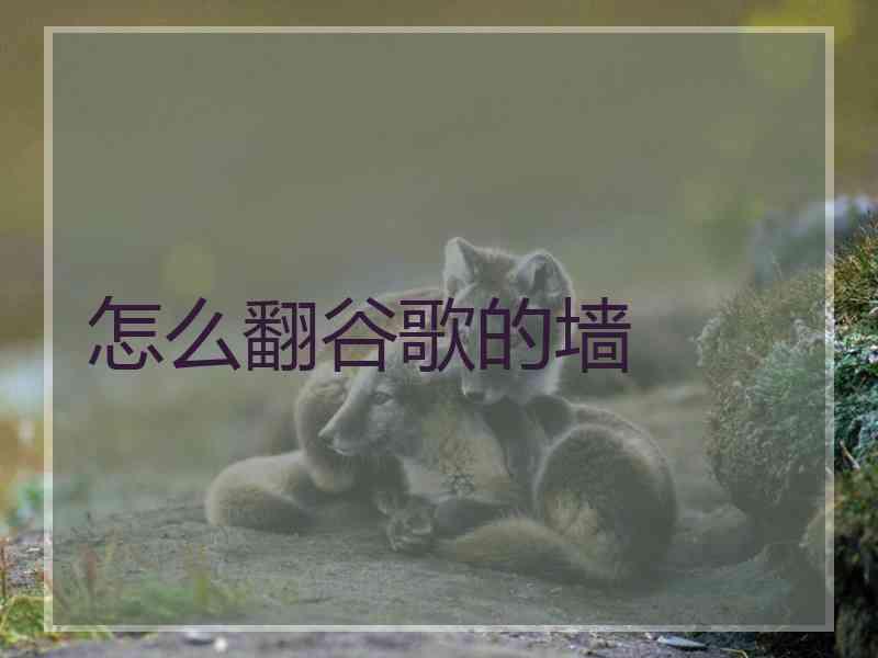 怎么翻谷歌的墙