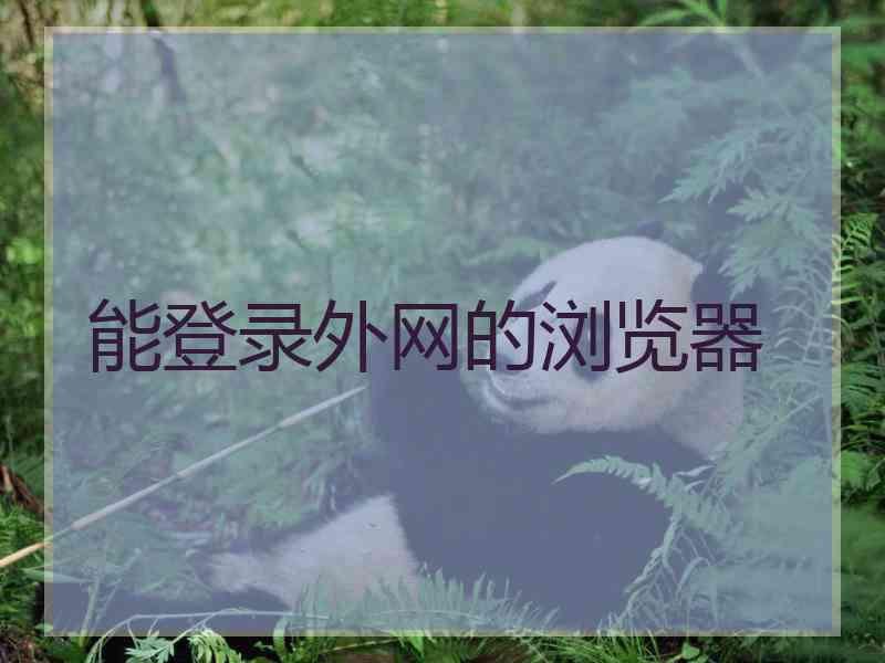 能登录外网的浏览器