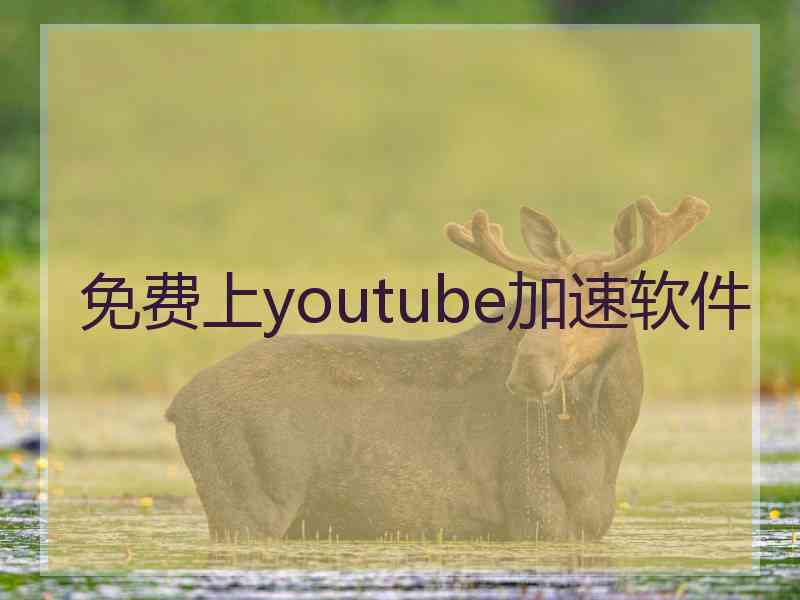 免费上youtube加速软件