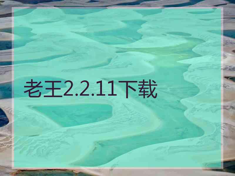 老王2.2.11下载