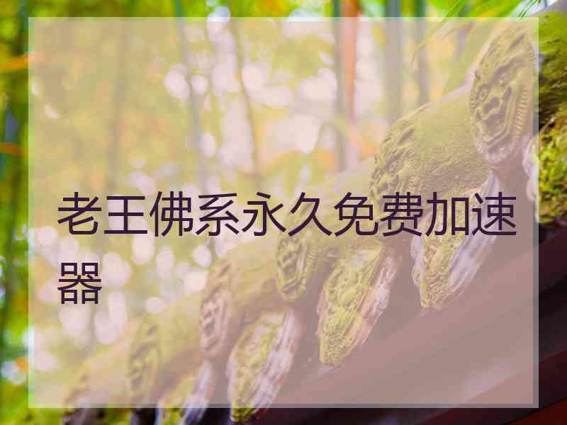 老王佛系永久免费加速器