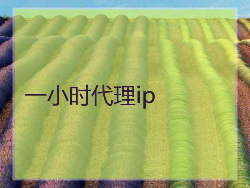 一小时代理ip