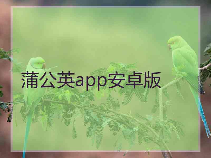 蒲公英app安卓版