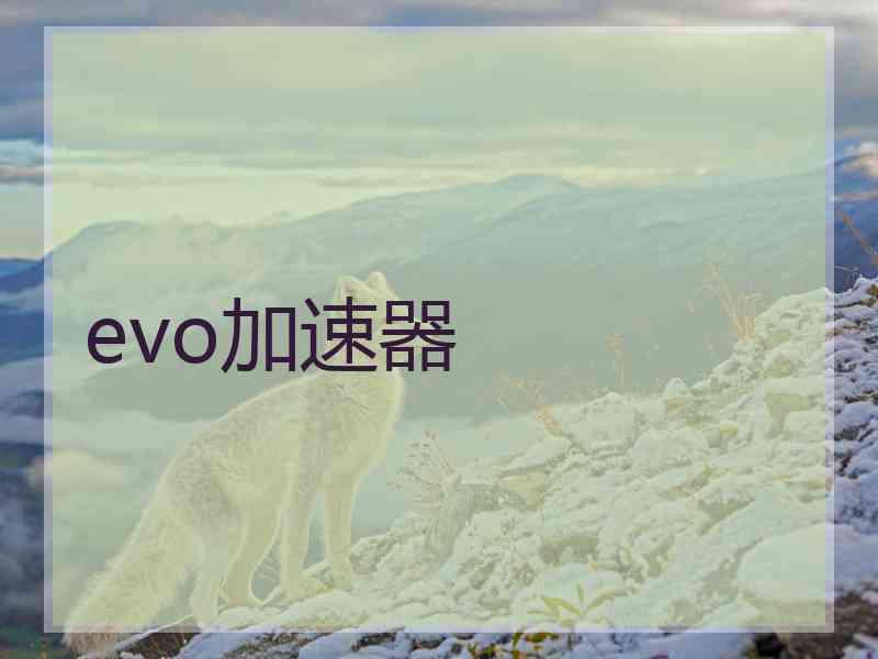 evo加速器
