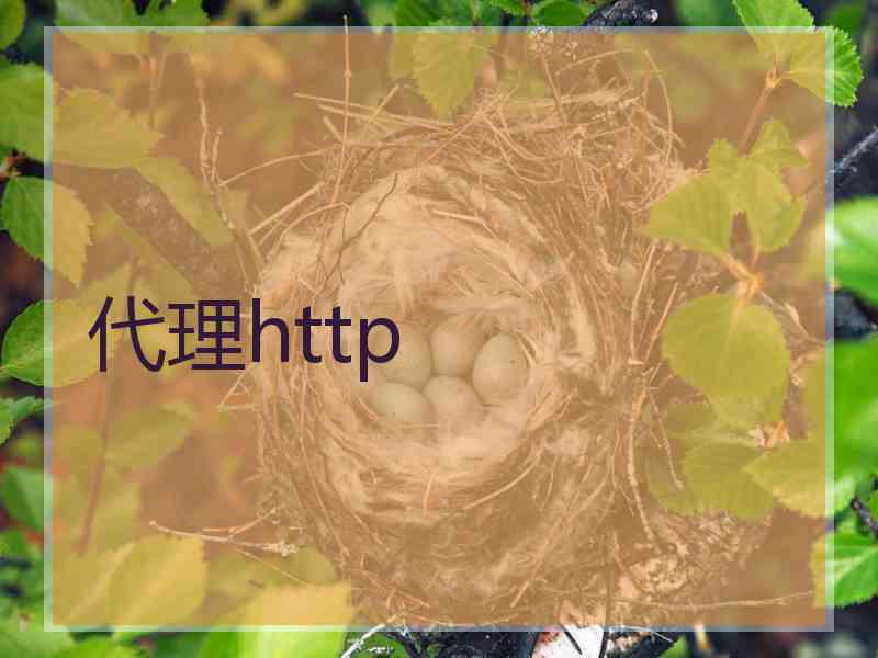 代理http 代理http
