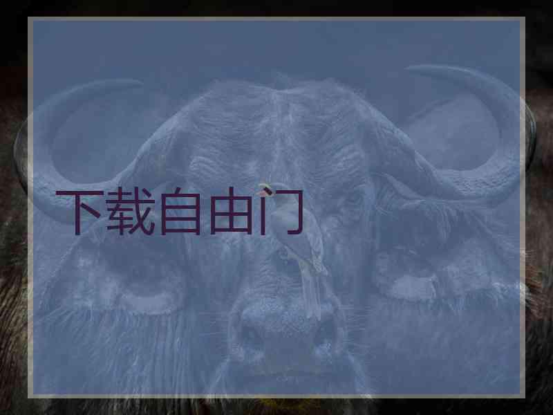 下载自由门
