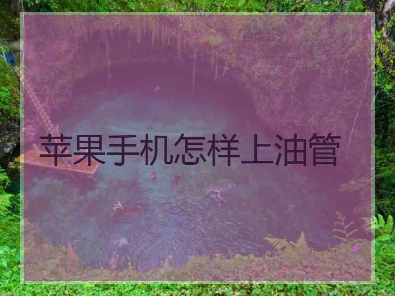 苹果手机怎样上油管