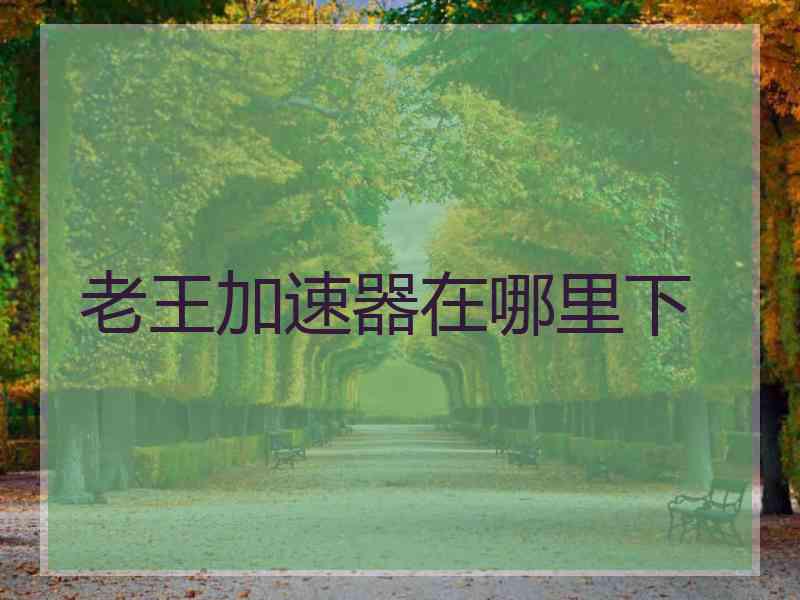 老王加速器在哪里下