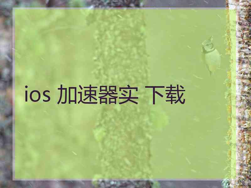 ios 加速器实 下载