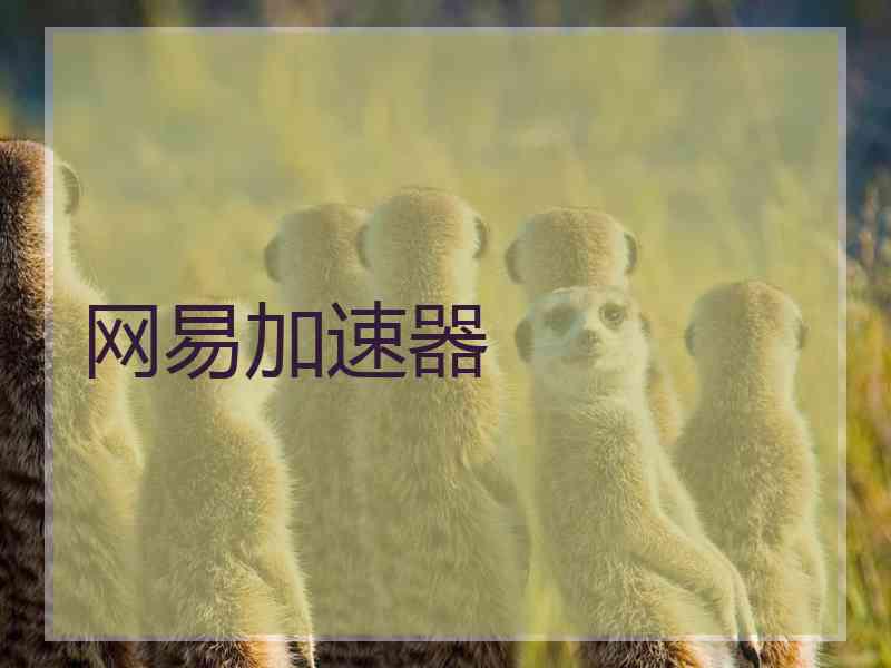 网易加速器