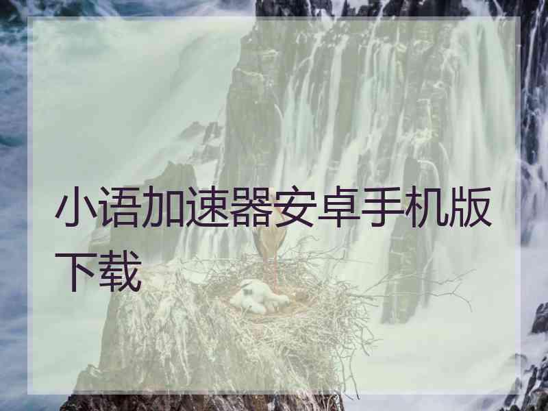 小语加速器安卓手机版下载