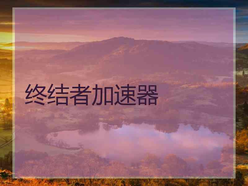 终结者加速器
