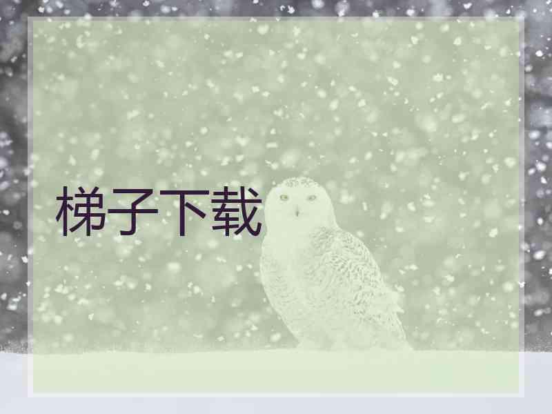 梯子下载