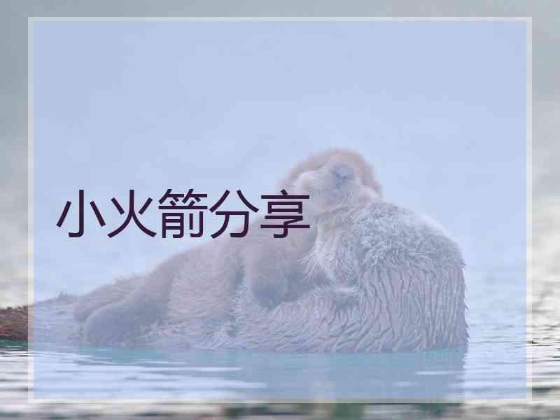 小火箭分享