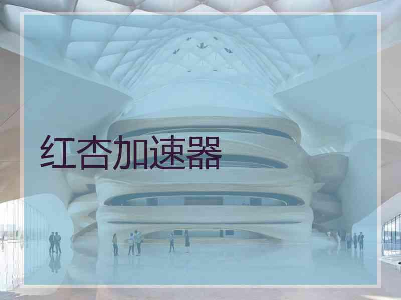 红杏加速器