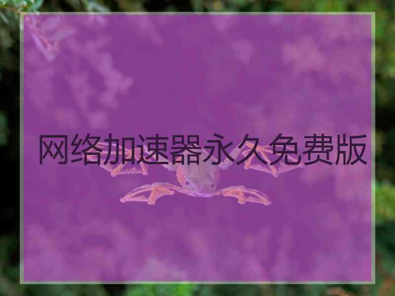 网络加速器永久免费版
