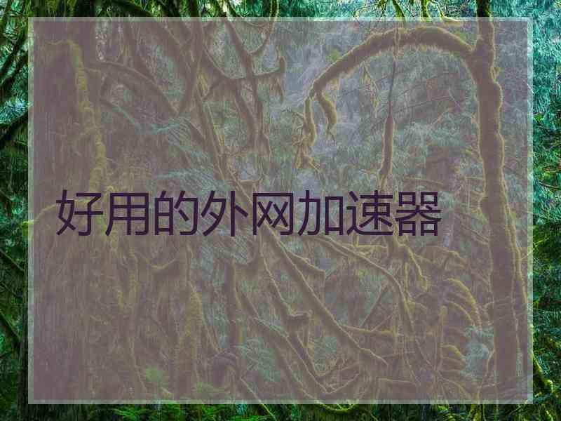 好用的外网加速器