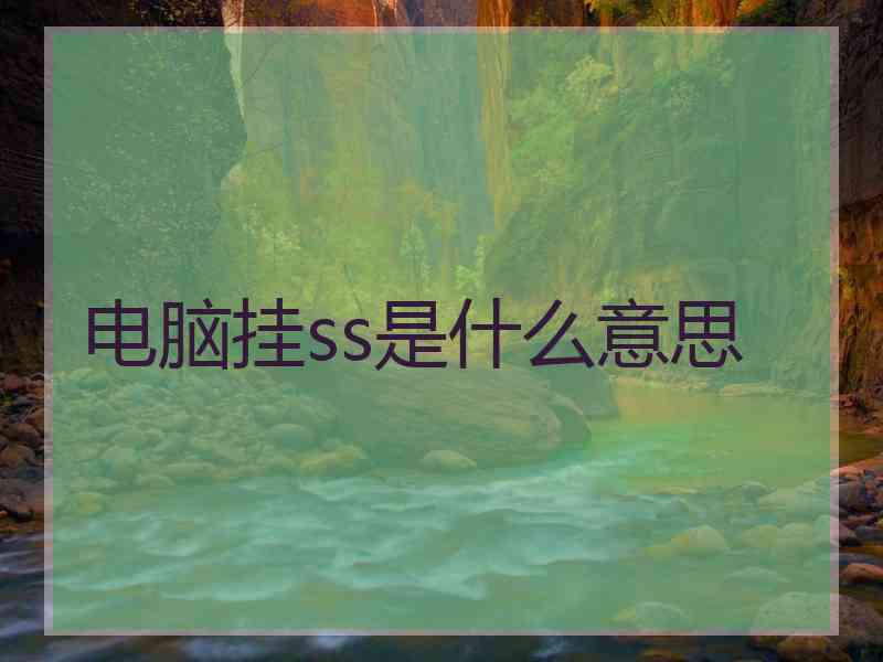 电脑挂ss是什么意思